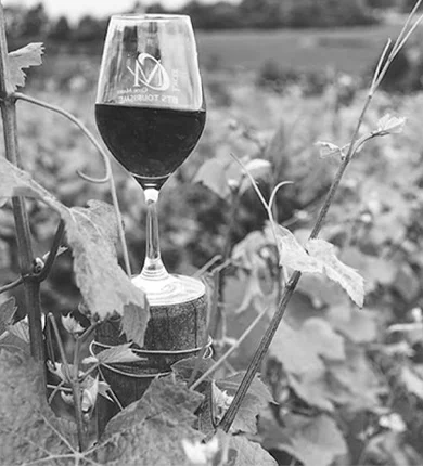 Bannière page cave à vin géorgien mobile