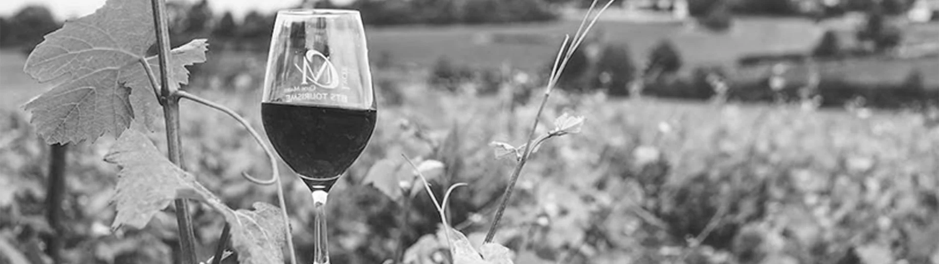 Bannière page cave à vin géorgien